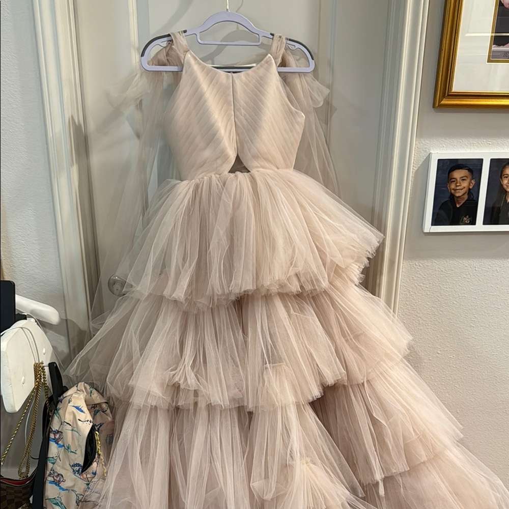 Elegant and stunning Layered Tulle Dress in blush ❤️❤️❤️